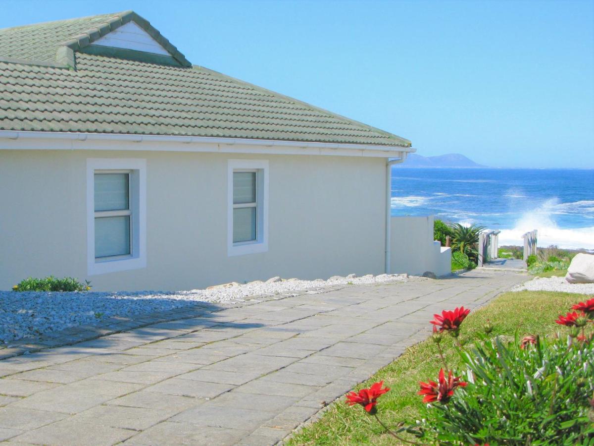 Beachfront House - Hermanus Whale View Villa Dış mekan fotoğraf