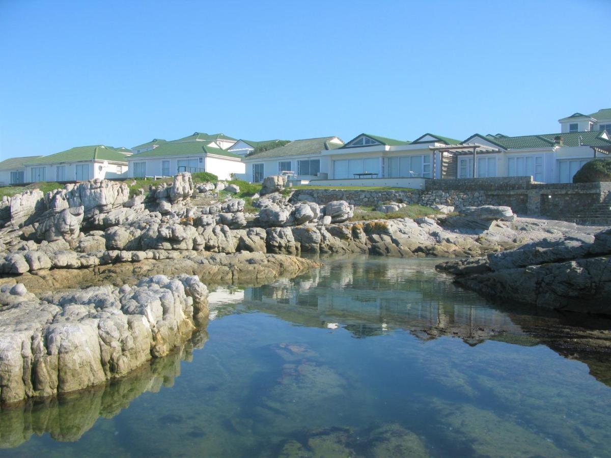 Beachfront House - Hermanus Whale View Villa Dış mekan fotoğraf