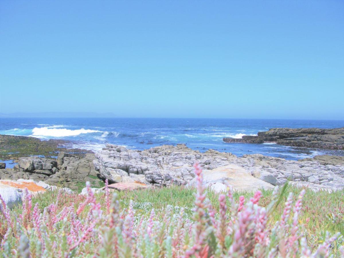 Beachfront House - Hermanus Whale View Villa Dış mekan fotoğraf