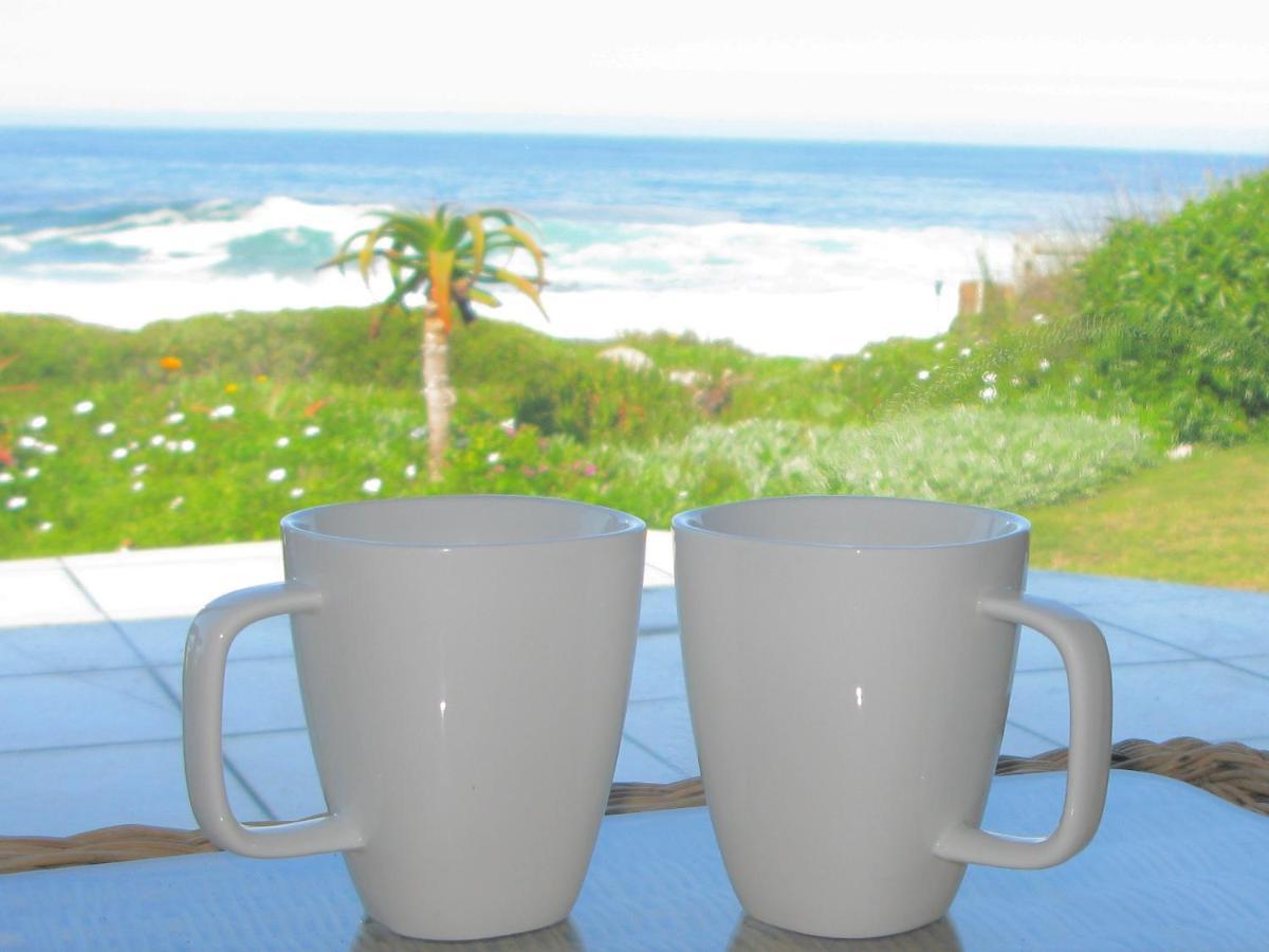 Beachfront House - Hermanus Whale View Villa Dış mekan fotoğraf