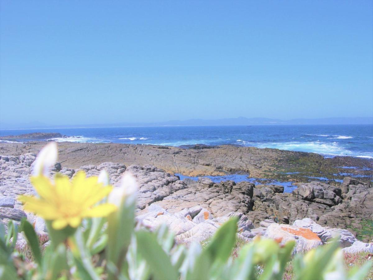 Beachfront House - Hermanus Whale View Villa Dış mekan fotoğraf