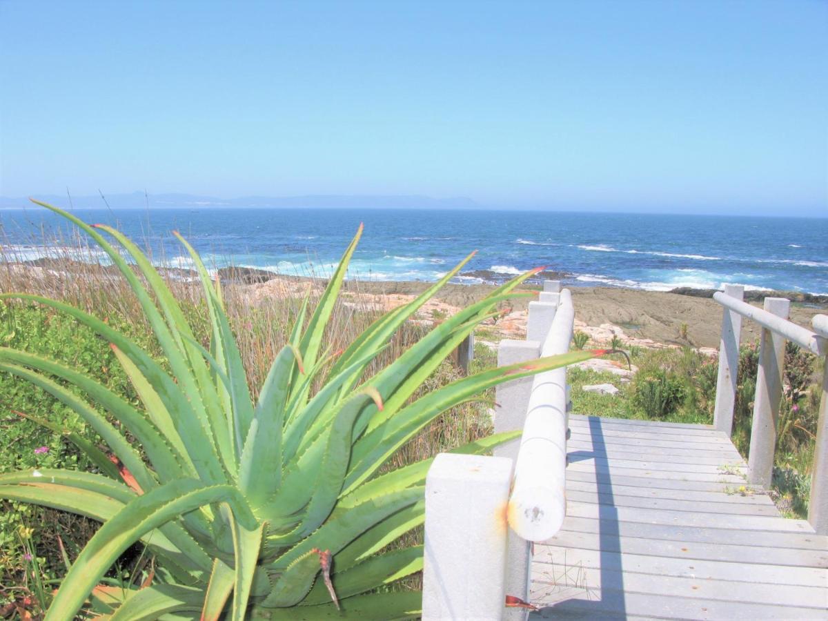 Beachfront House - Hermanus Whale View Villa Dış mekan fotoğraf