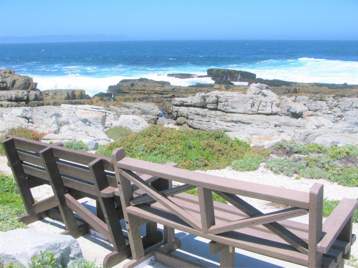 Beachfront House - Hermanus Whale View Villa Dış mekan fotoğraf